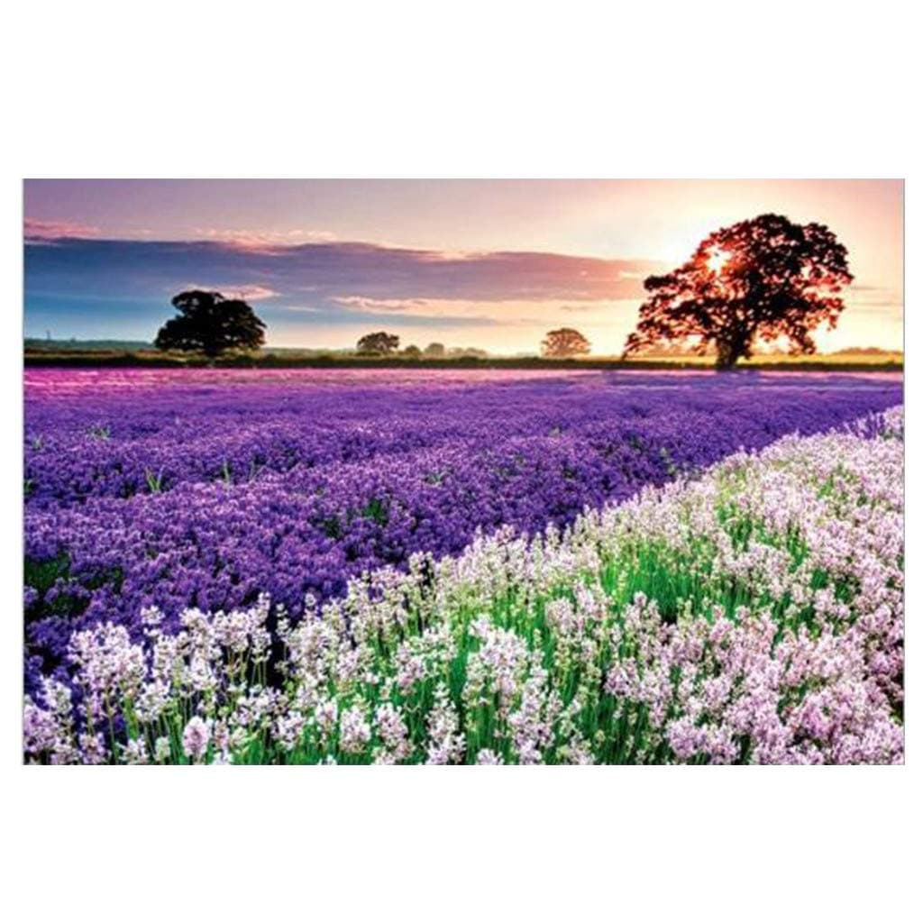 Provence Lavender Jigsaw Puzzles 1000 Pieces for Adults Children's Puzzle Toy, Landscape Lavender Jigsaw Puzzle, DIY Collectibles Modern Home Decoration 27.56 x 19.69 inch