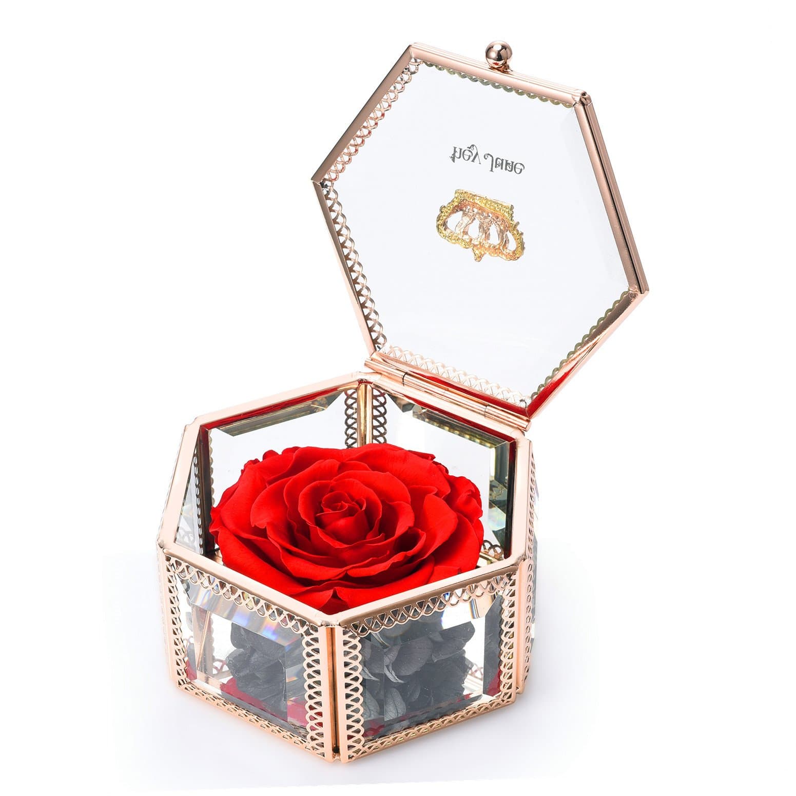 hey June for Women, Preserved Flower Rose, Unique Gifts, Mom Gifts, Best Gifts for Her on Valentine's Day, Mother's Day, Anniversary Birthday, (Red)