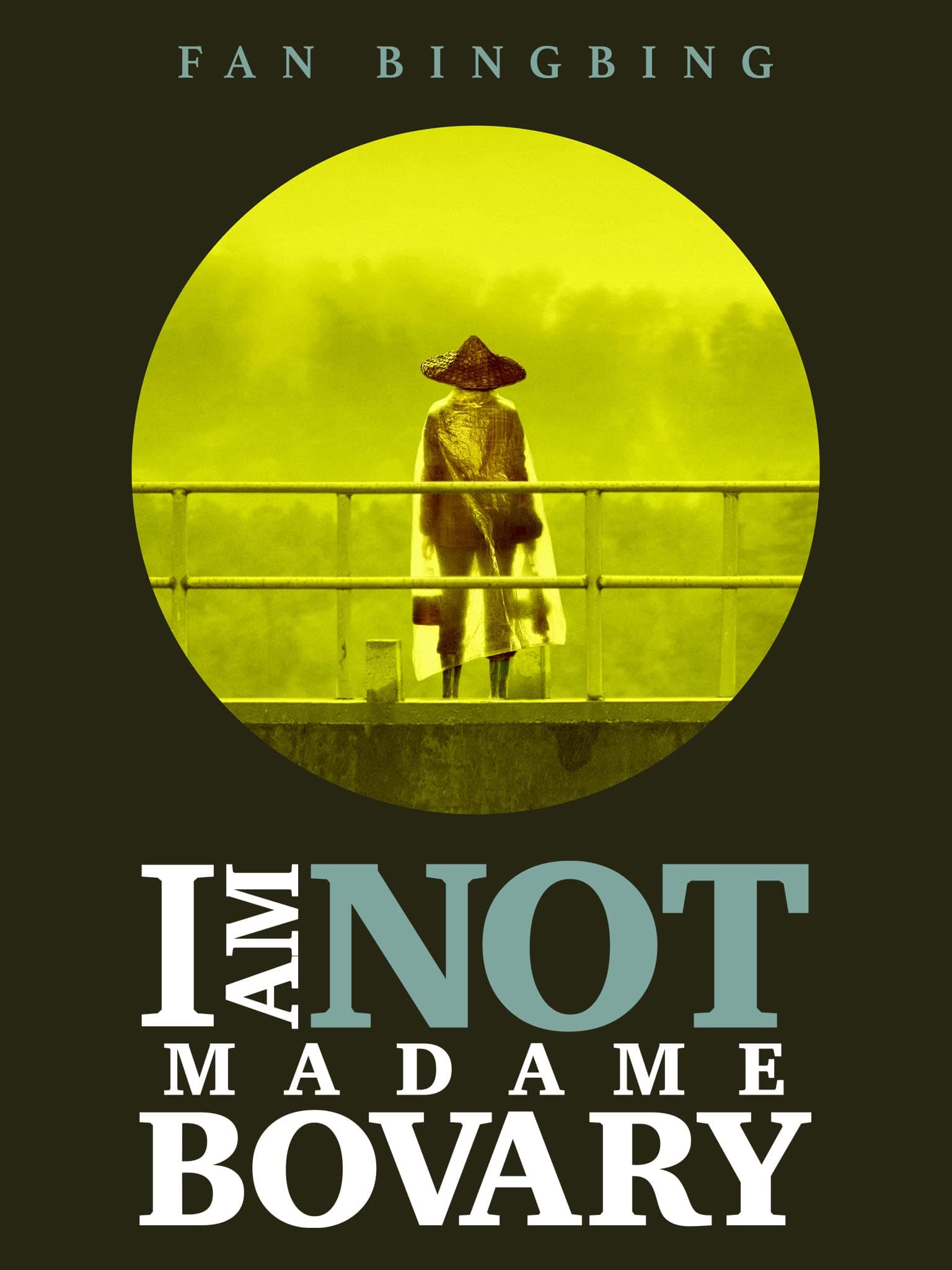 I Am Not Madame Bovary