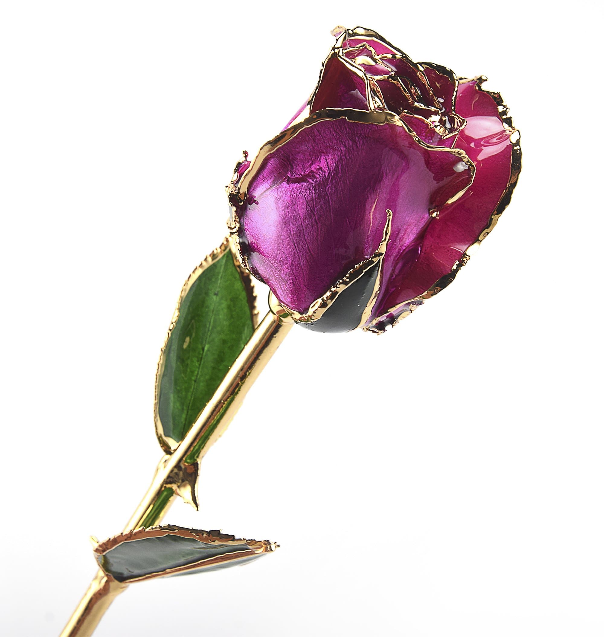 M Dream Romantic Gifts for Her, 24K Gold Dipped Real Rose Chris Purple,Best Gift for Valentine's Day, Mother's Day, Anniversary, Birthday, Valentines Gift