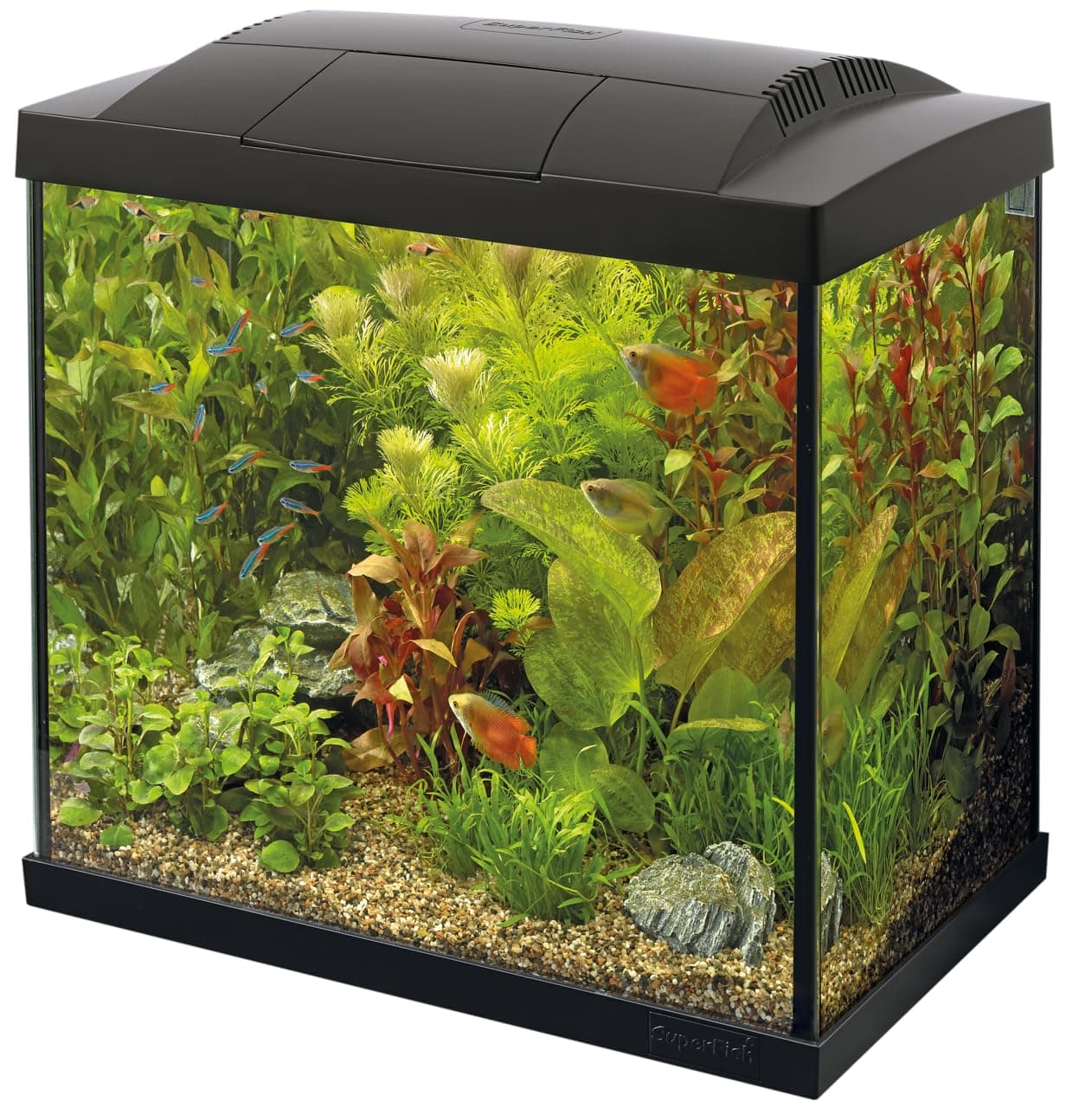 Superfish Start 30 Aquarium Tropical 25L - Black