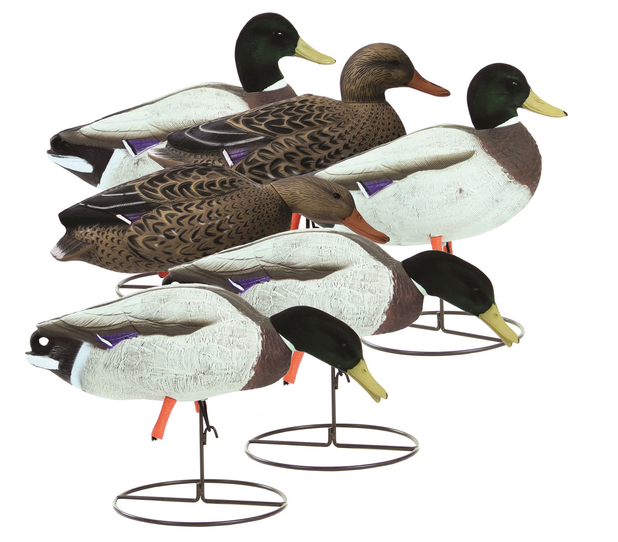 Higdon OutdoorsMagnum Full-Body Mallard, Variety Pk, Flocked Heads