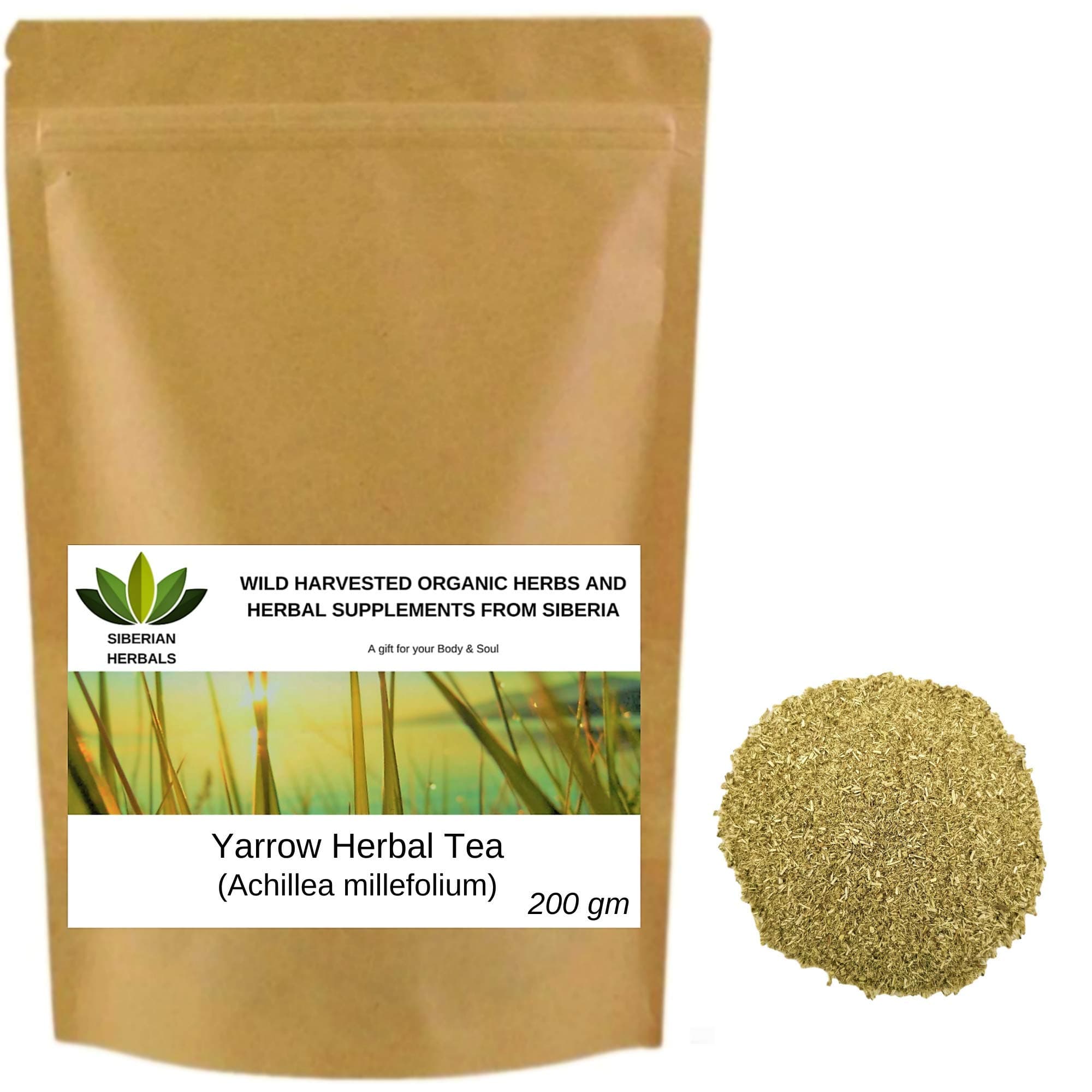 Wild Harvested Organic Yarrow Herbal Tea (Achillea millefolium) ТЫСЯЧЕЛИСТНИК from Altai Mountains Russia. (200 gm)