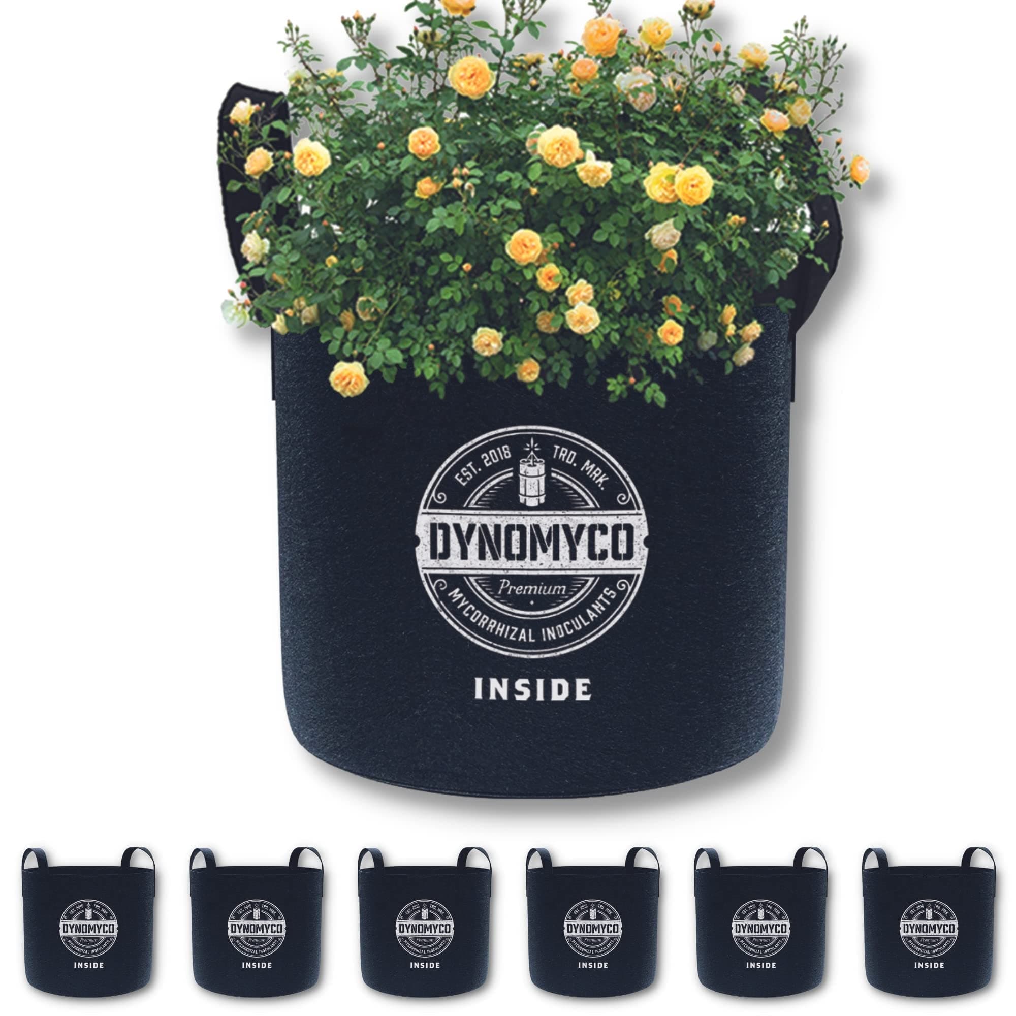 Plant Grow Bags Bundle of 6 – Plant Fabric Pots with Improved Drainage, Aeration Fabric Pots with Handles, Heavy Duty 300G Thickened Non-Woven Grow Bags – for Easy Handling and Successful Yield