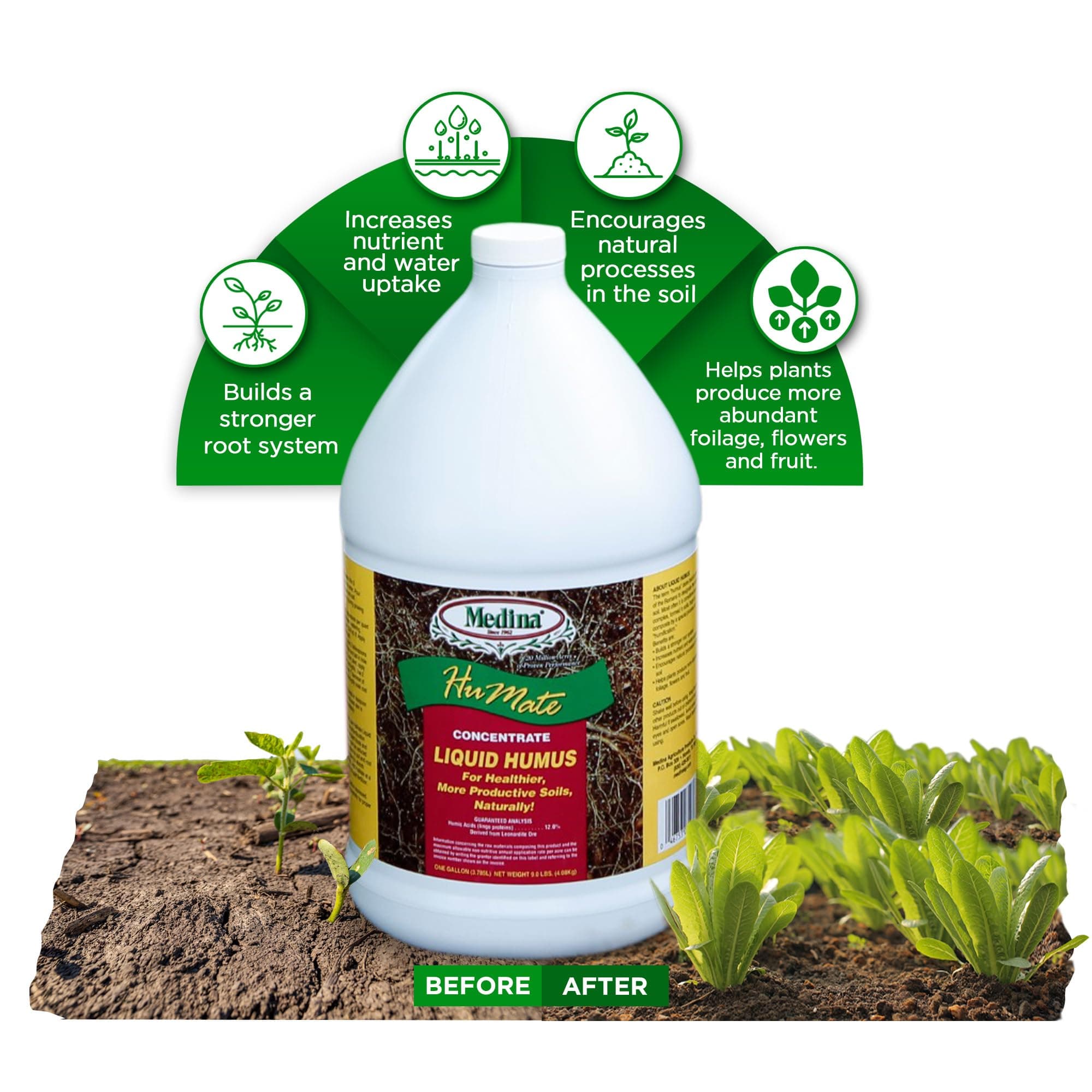 Medina Humate Humic Acid for Plants - Concentrated Liquid Compost, Humic Acid for Lawn - Enhance Plant Growth, Moisture Retention, Nutrient Absorption - Humates for Soil - 1 Gal Covers 8000 Sq. Ft.