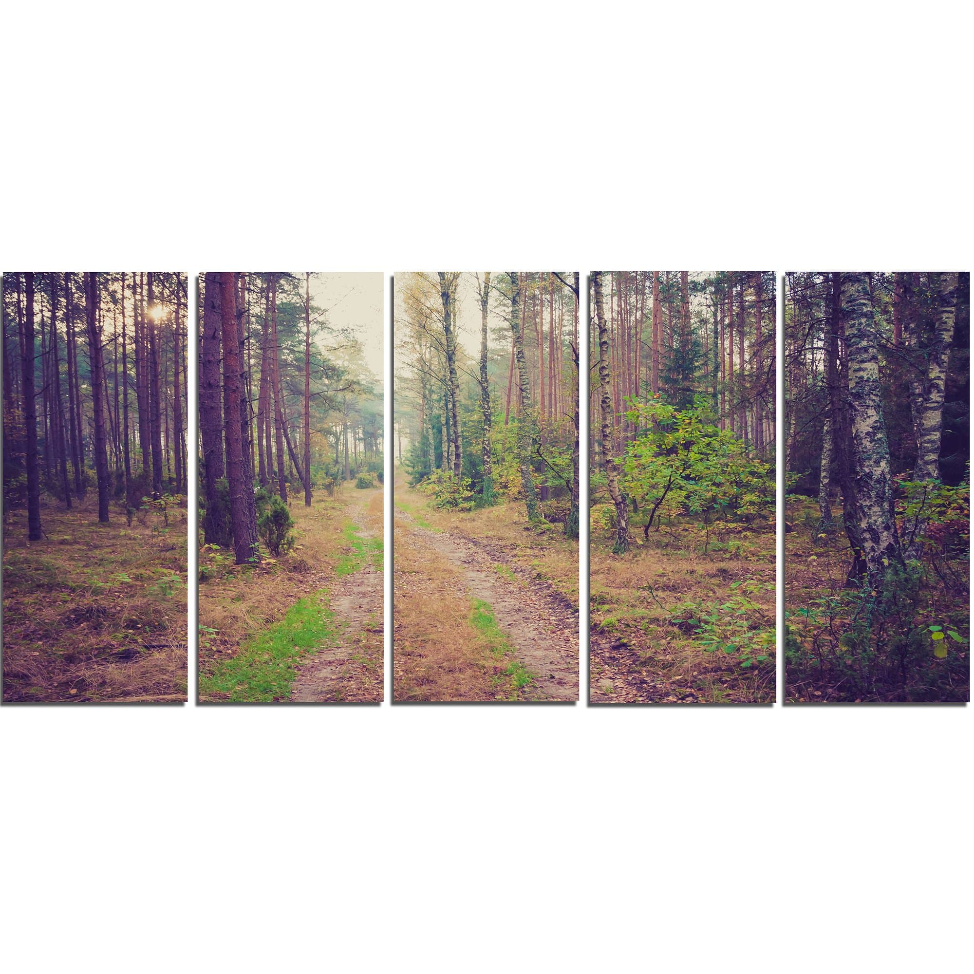 Designart PT13934-60-28-5PE Straight Pathway in Thick ForestModern Forest Canvas Art, 28'' H x 60'' W x 1'' D 5PE