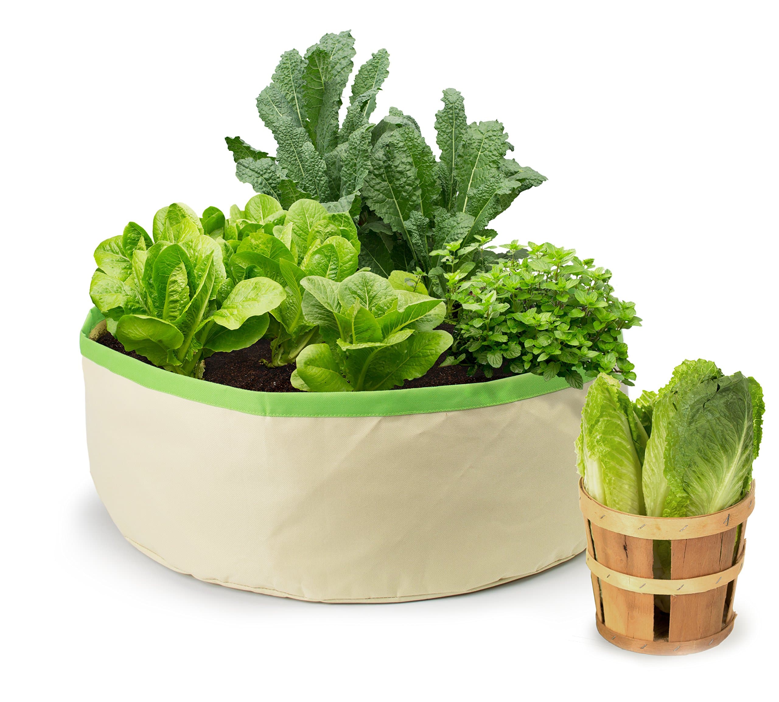 Homegrown GourmetHerbs and Greens Harvest Grow Bag