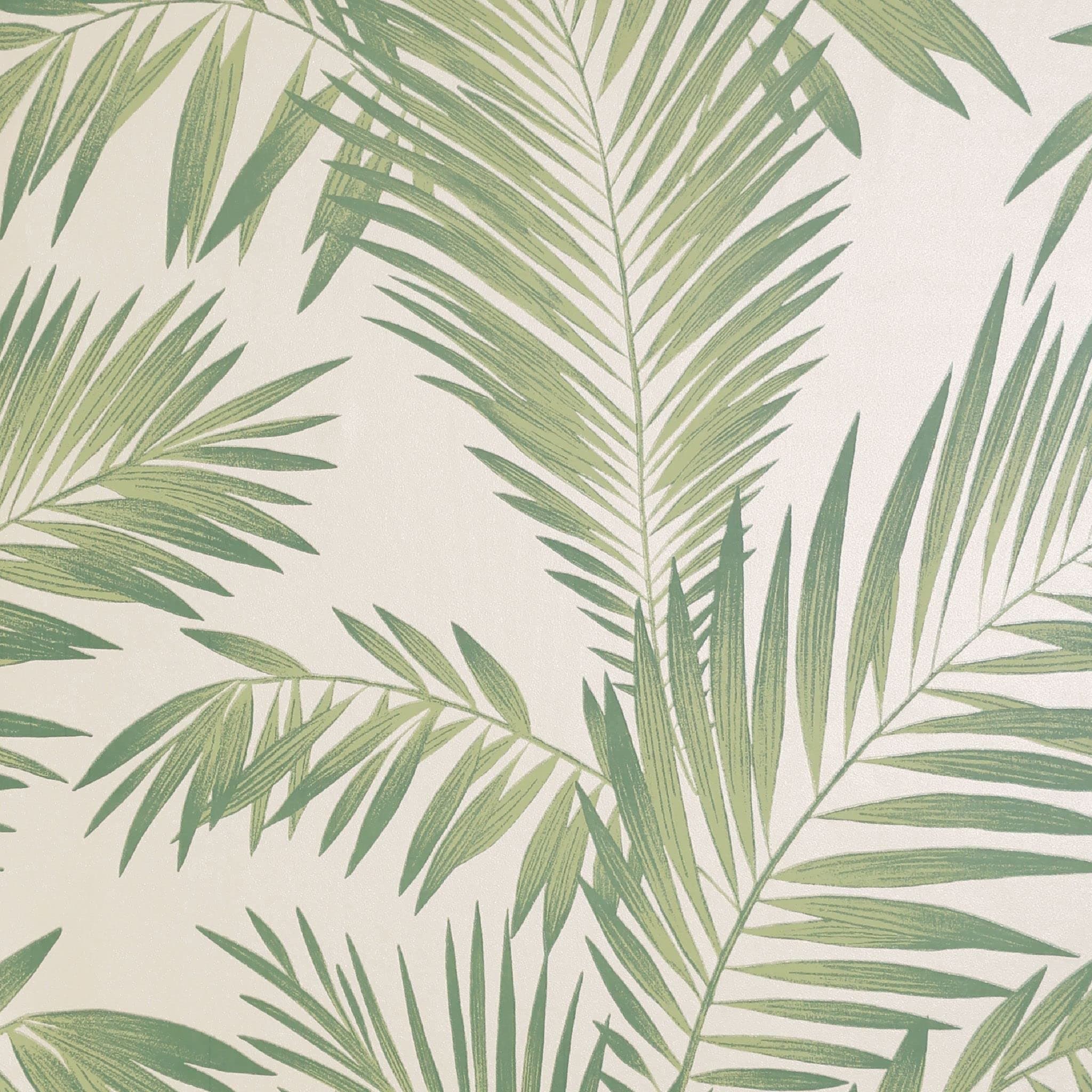 Arthouse Tropical Palm Green & Cream Wallpaper - for Living Spaces & Feature Walls - Bedroom - Kitchen - Hallway - Livingroom - Office Study - Rustic - Modern - Full Roll 10.05m (L) X 53cm (W) 906802