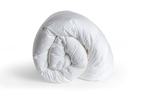 Dreamsong D40B200411 Country Down Twin Comforter