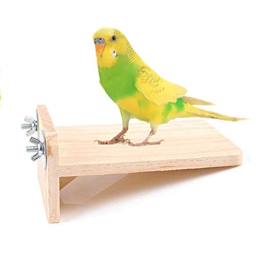 Natural Wooden Platform Cum Perch Cum Stand Bird Toy Ideal for Birds, Hamsters (Light Weight)