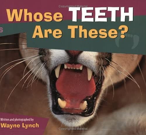 Whose Teeth Are These? (Whose? Animal Series)