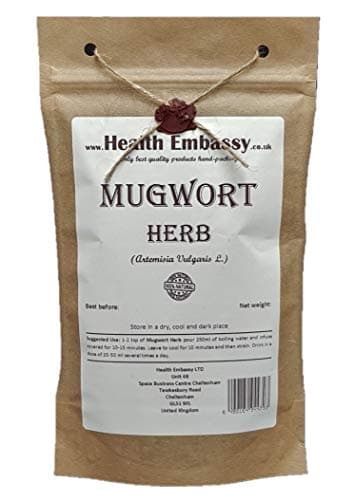 Mugwort Herb Health Embassy