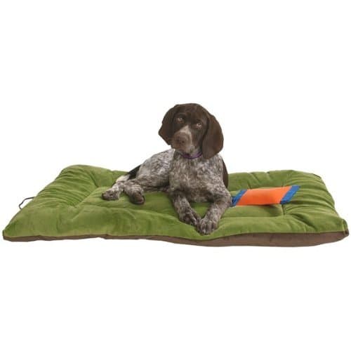 OllyDog Eco Plush Dog Bed - Travel-friendly Roll Up Dog Bed - Multi-Use Dog Mat (Pesto/Chocolate, Large)