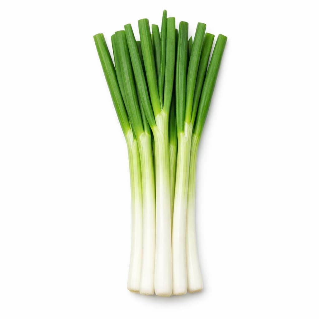 Scallion Bunching Onion Seeds, 250+ Evergreen Hardy White, Heirloom, Non-GMO, Allium fistulosum