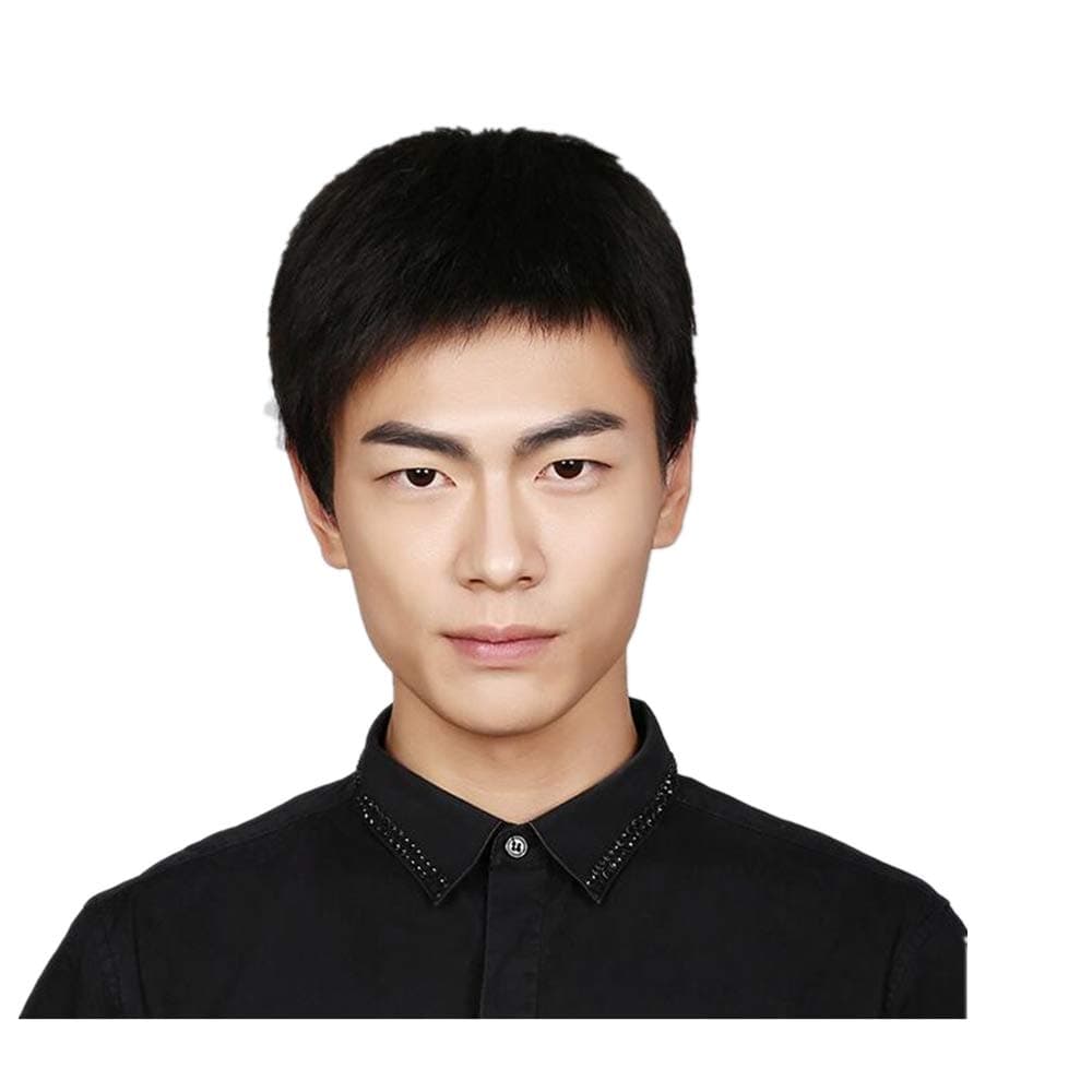 Wig Men's Toupee Short Youthful and Casual Fashion Black