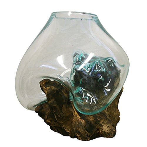 Hand Blown Molten Glass and Wood Root Sculptured Terrarium / Vase / Fish Bowl by In the Garden and More