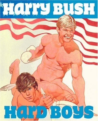 Hard Boys Hardcover – November 28, 2007