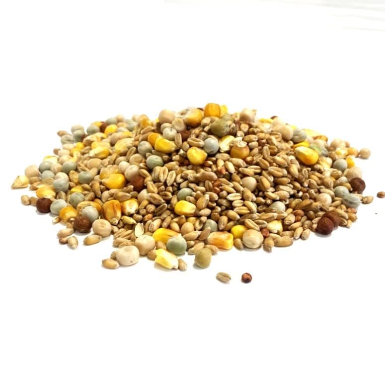 2kg Mixed Pigeon Corn Premium Quality Bird Food