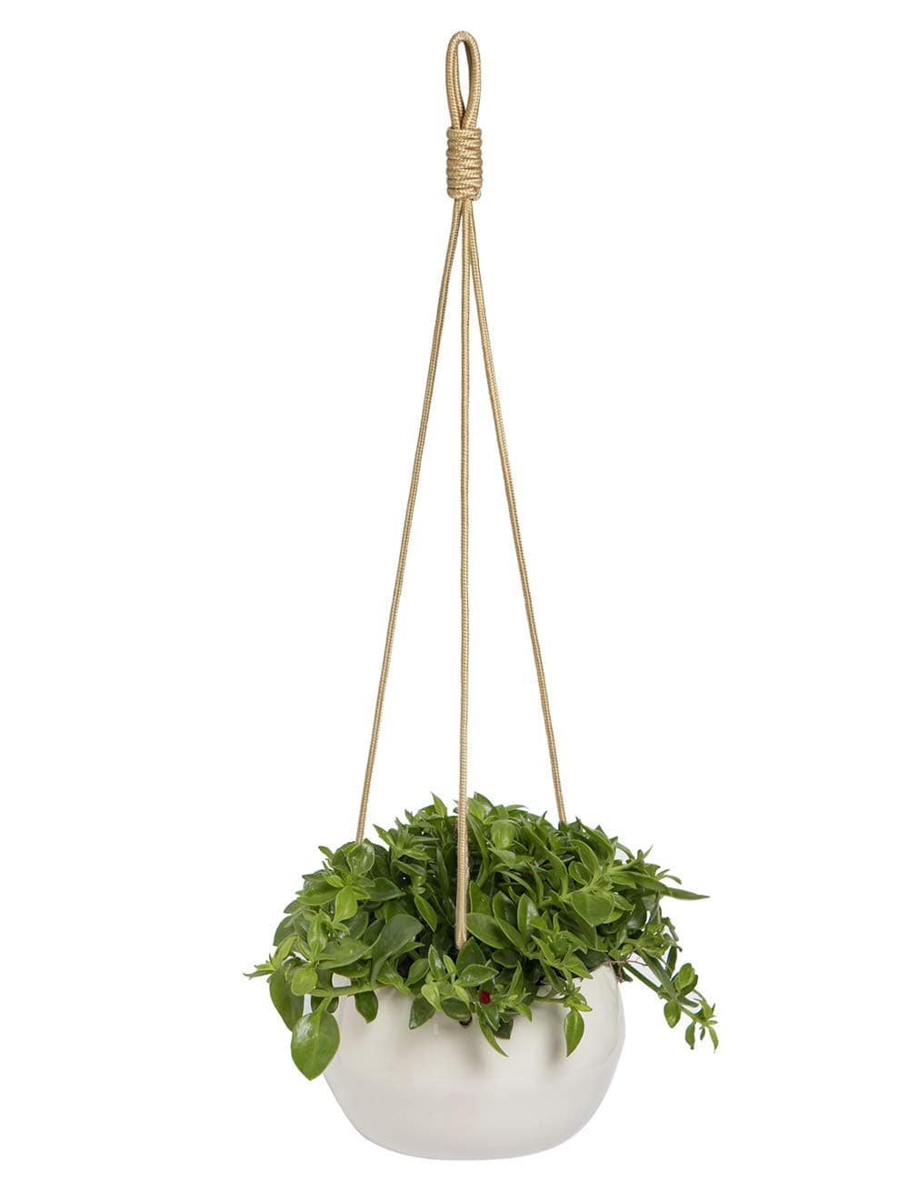 YXMYH Modern White Ceramic Hanging Planter for Indoor Plants Porcelain Hanging Plant Holder 8 Inch Geometric Flower Pot with Polyester Proe