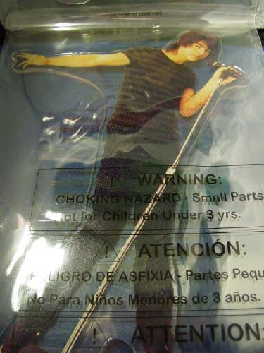 Disney Camp Rock Mitchie and Shane