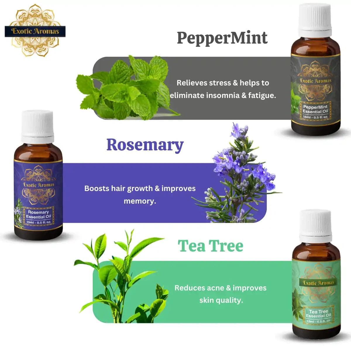 Exotic Aromas Essential Oil Lavender Rose Rosemary Orange Jasmine YlangYlang Tea Tree Eucalyptus Lemongrass Peppermint Lemon Citronella Pack of 12