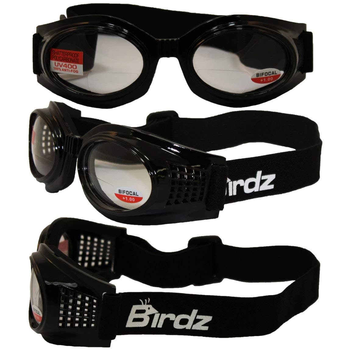 Birdz Eyewear Kite Motorcycle Goggles Bifocal Lens