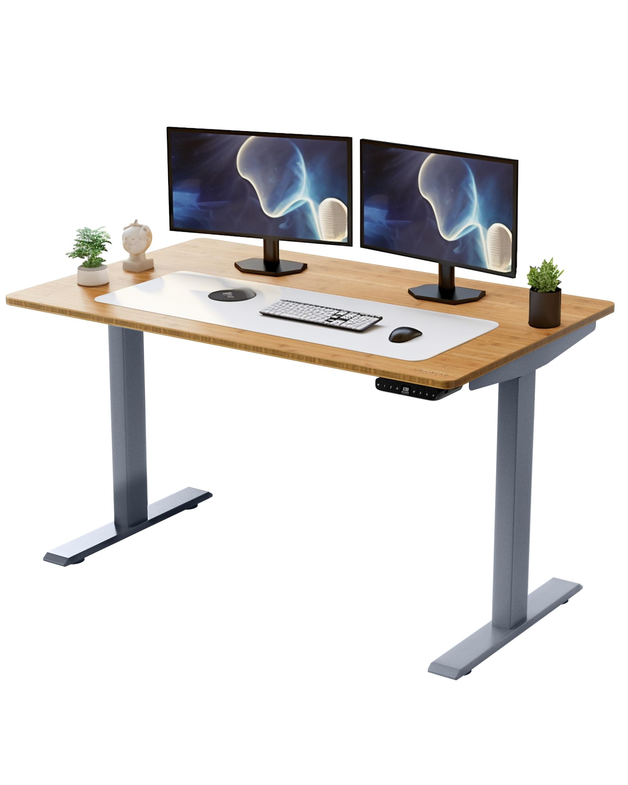 RISE UP dual motor electric standing desk 60x30" black bamboo desktop premium ergonomic adjustable height sit stand up home office computer desk table motorized powered modern furniture small standup