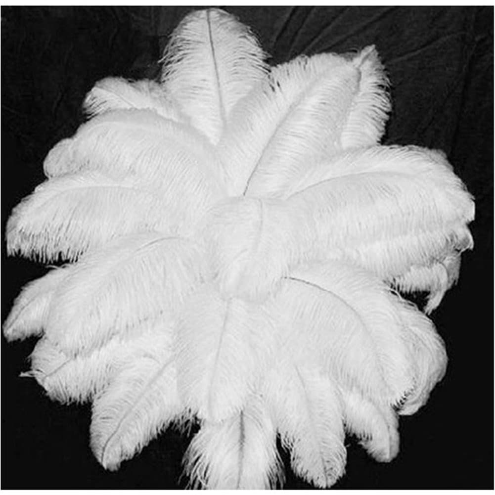 Uoften Natural 6-12inch white Ostrich Feathers 10 pcs 20 pcs 50 pcs (50, 10 inch - 12 inch)