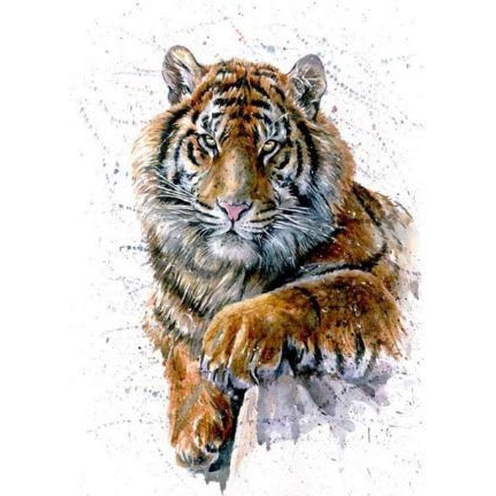 DIY Diamond Painting Kits for Adults, Kids,Home Decor Room Office Presents for Him Her by Megei