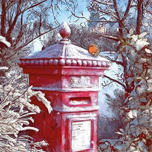 Macmillan Cancer Support Christmas Cards - Pack of 8 - Frosted Postbox