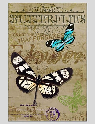 SDYJQ Stretched Canvas Oil Painting Art Butterfly style 60*90CM #2033