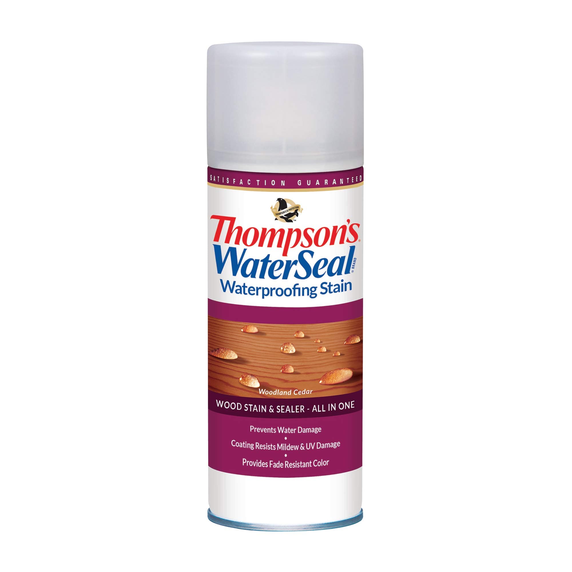 Thompsons Waterseal Waterproofing wood Stain and sealer Spray Woodland cedar Can