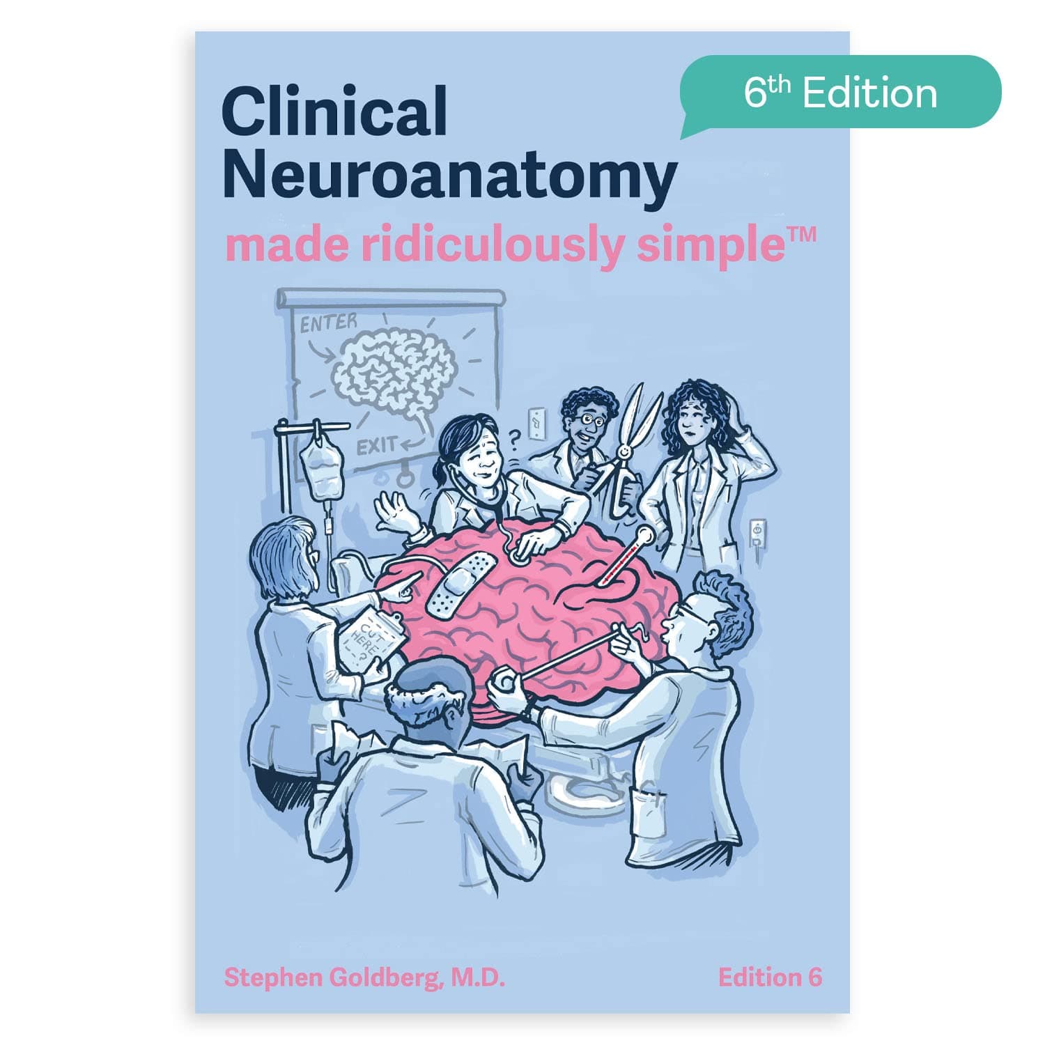 Clinical Neuroanatomy Made Ridiculously Simple Paperback – 10 October 2022