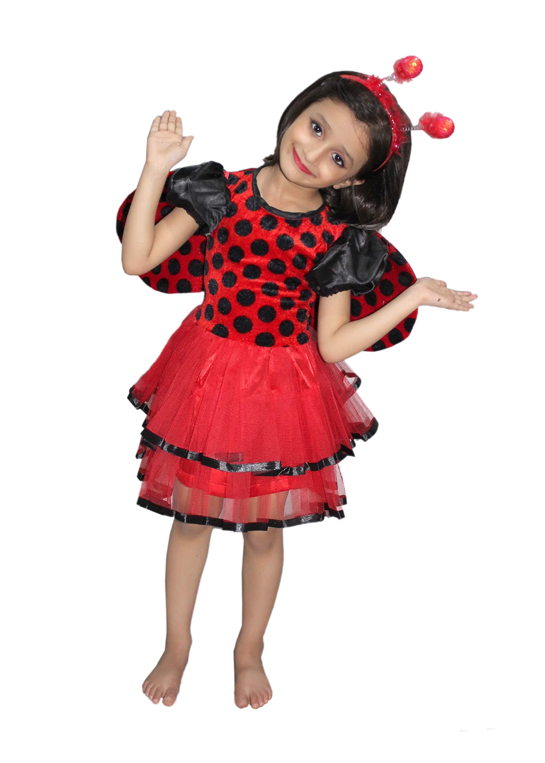 Kaku Fancy Dresses Insect Costume for Kids, Ant, Grasshopper, Lady Bird, Honey Bee Costume for Boys & Girls