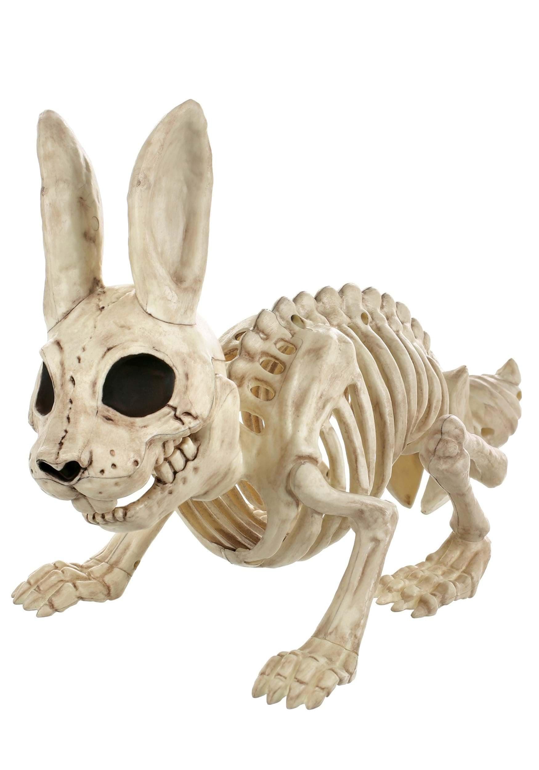 Bunny Bonez Skeleton
