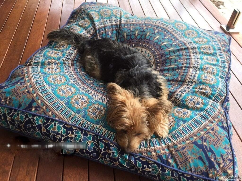 Krati Exports Indian Floor Pillow Cushion Covers in Mandala Design (Blue and White)