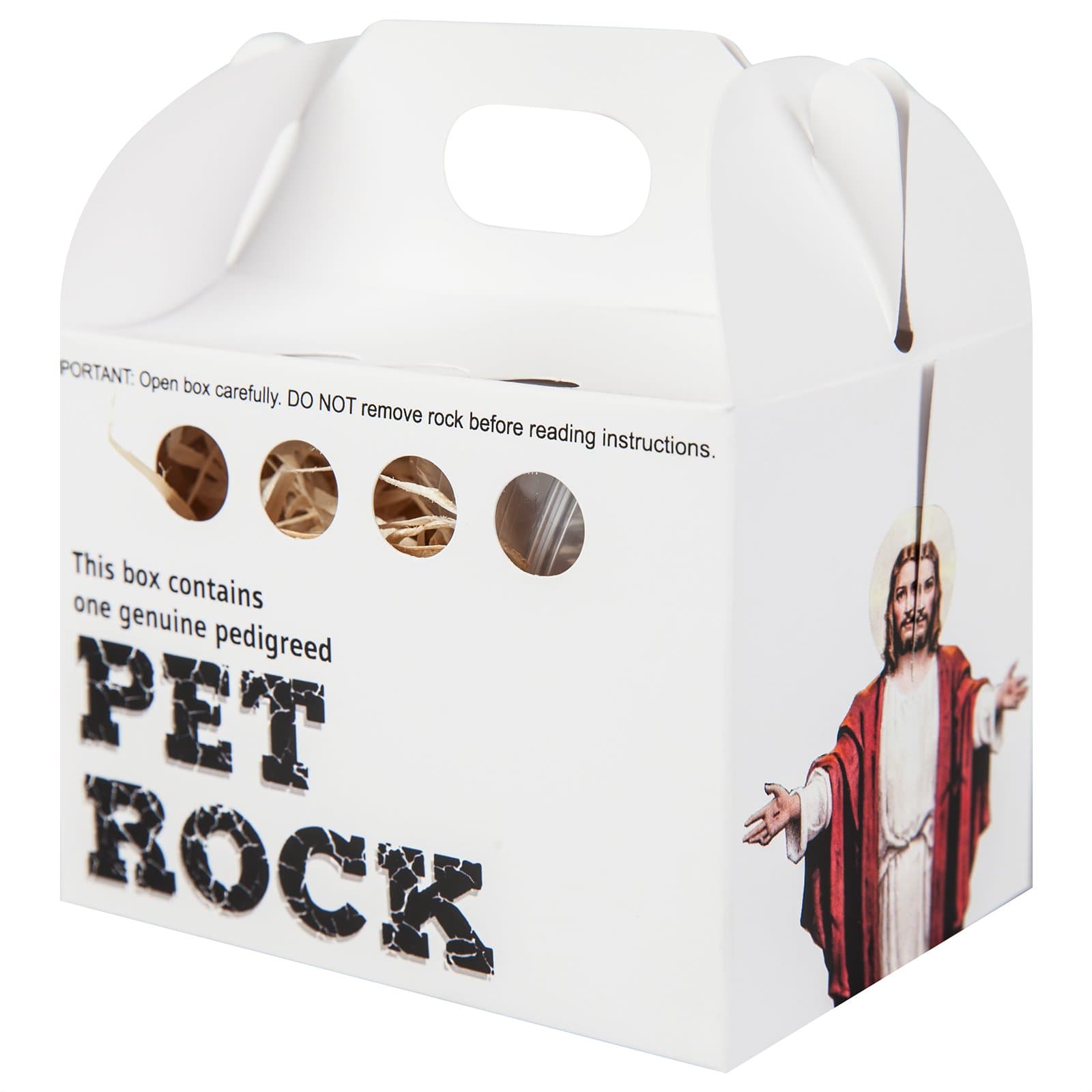 Novelty Joke Jesus Pet Rock with Walking Leash