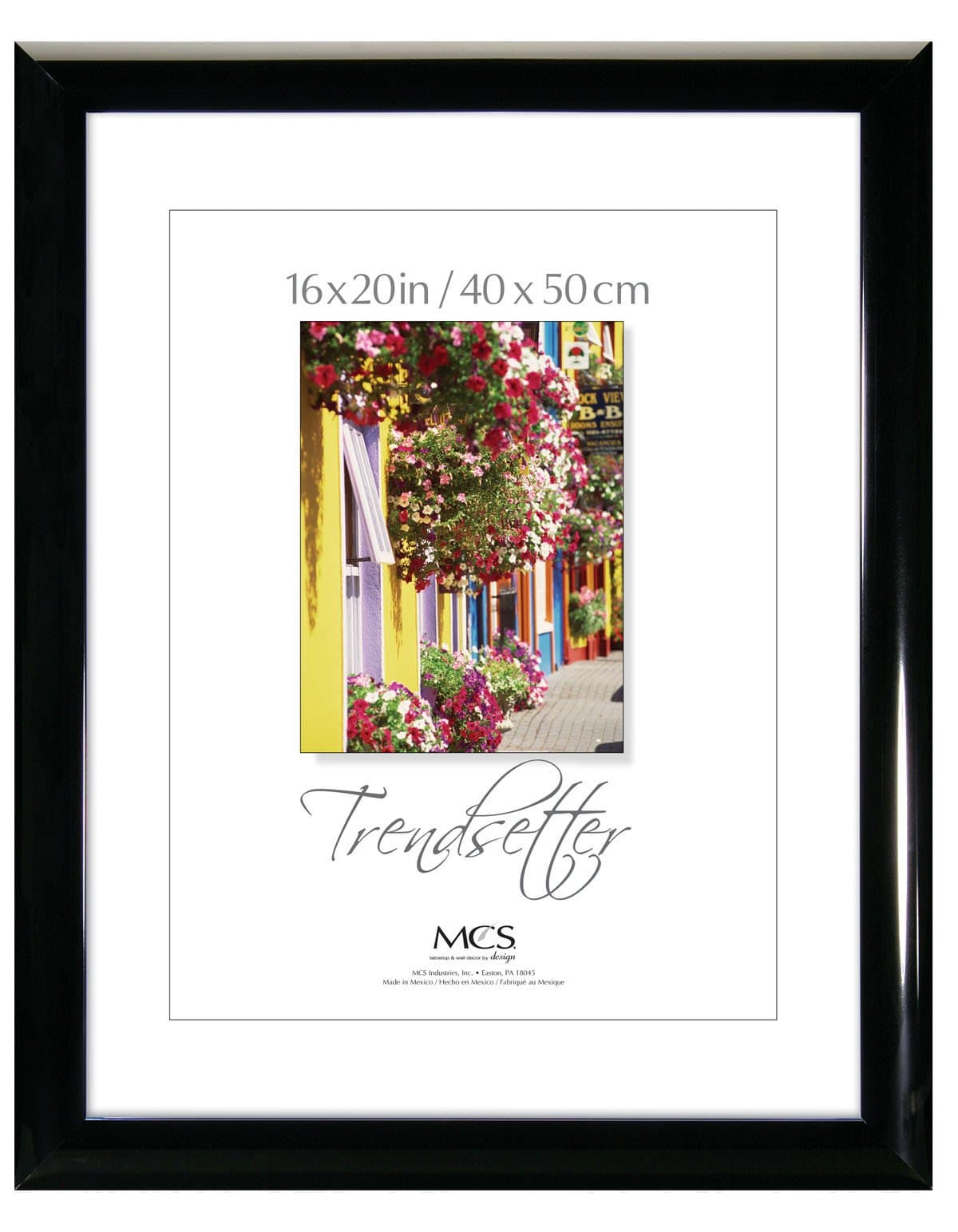 MCS Trendsetter 16x20 inch Poster Frame, Black (27620)