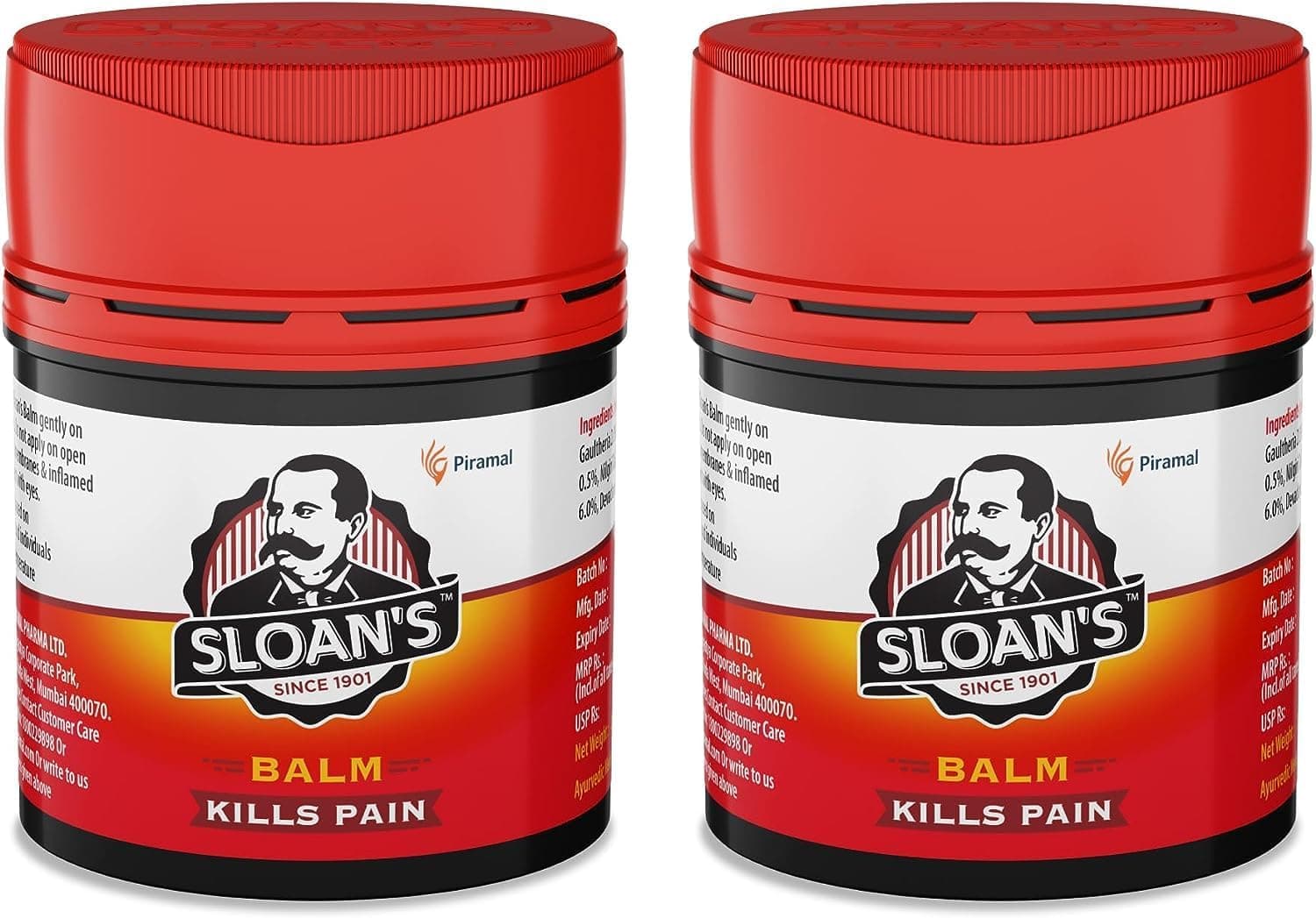 Sloan Balm | Kills Severe Pain | Power of Ayurveda with 5 Herbal Oils | Unique Heat Action with Capsicum Extract 20gm x Pack of 2