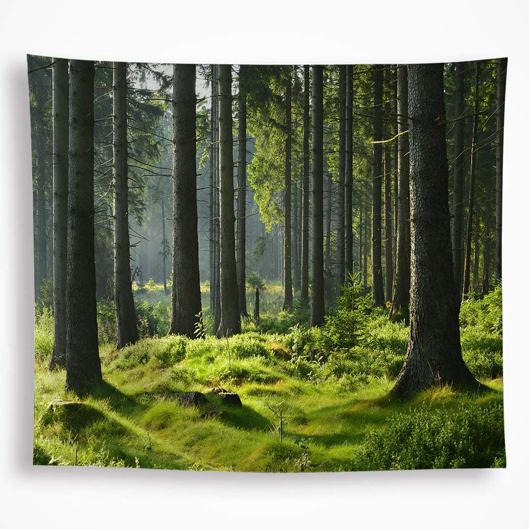 VAKADO Forest Green Tapestry for Bedroom Aesthetic Nature Tree Tapestries Wall Hanging Wall Art Covering Decorations Décor for Living Room Dorm 51"x59"