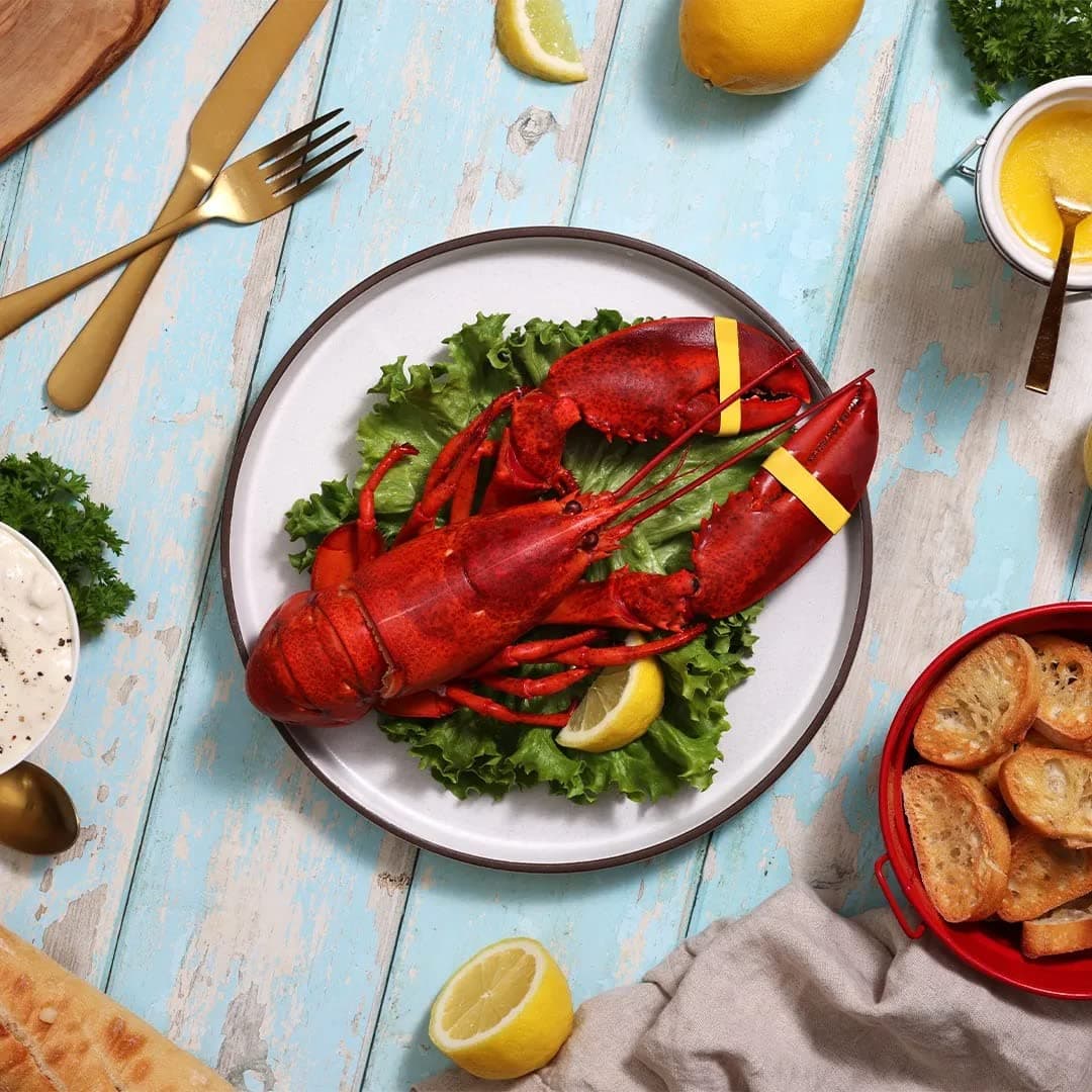 Maine Lobster Now: 1.25 LB Live Maine Lobster (4 Lobsters)