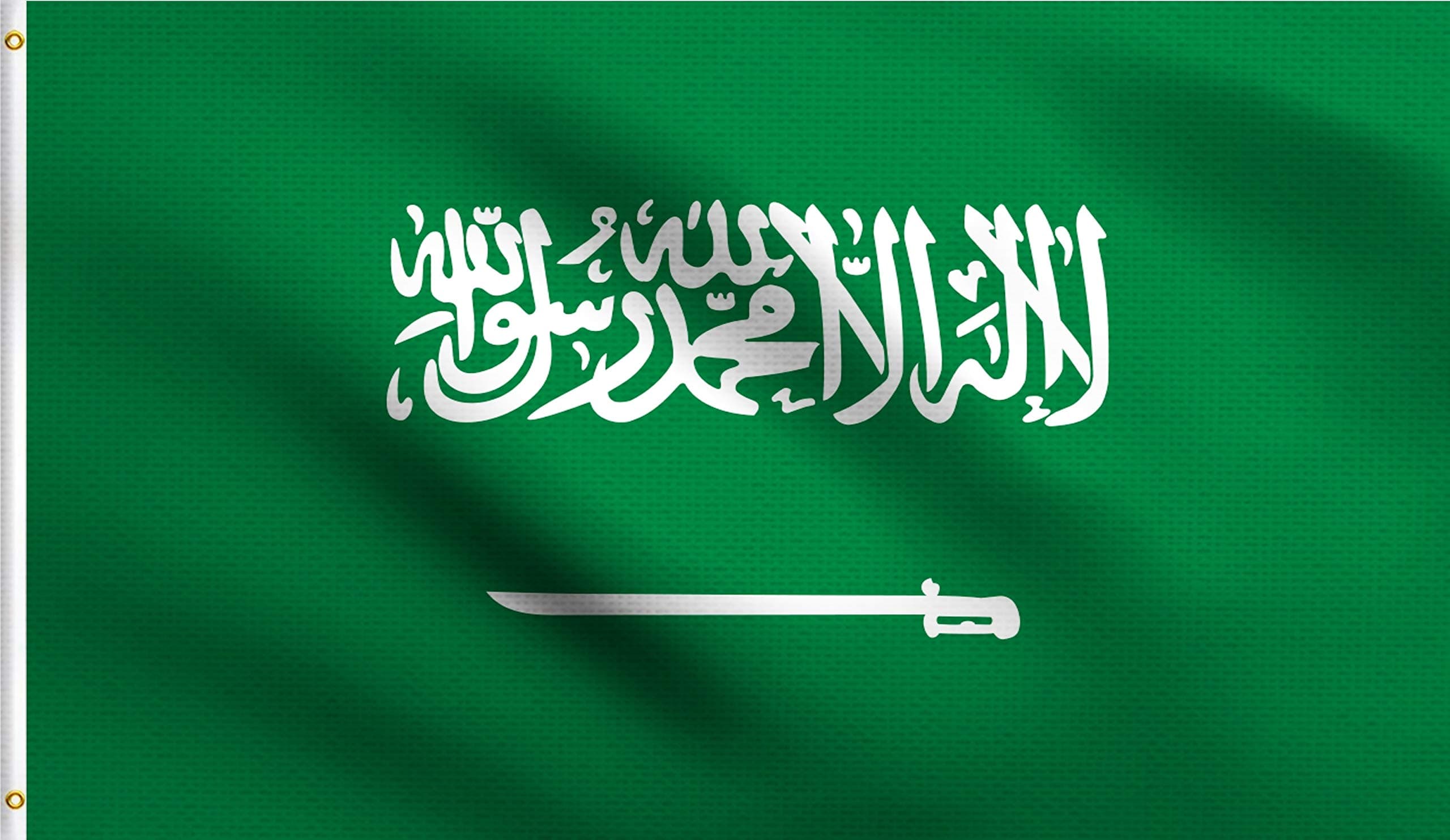 DMSE Saudi Arabia Arabian علم المملكة العربية السعودية Flag 3X5 Ft Foot 100% Polyester 100D Flag UV Resistant (3' X 5' Ft Foot)