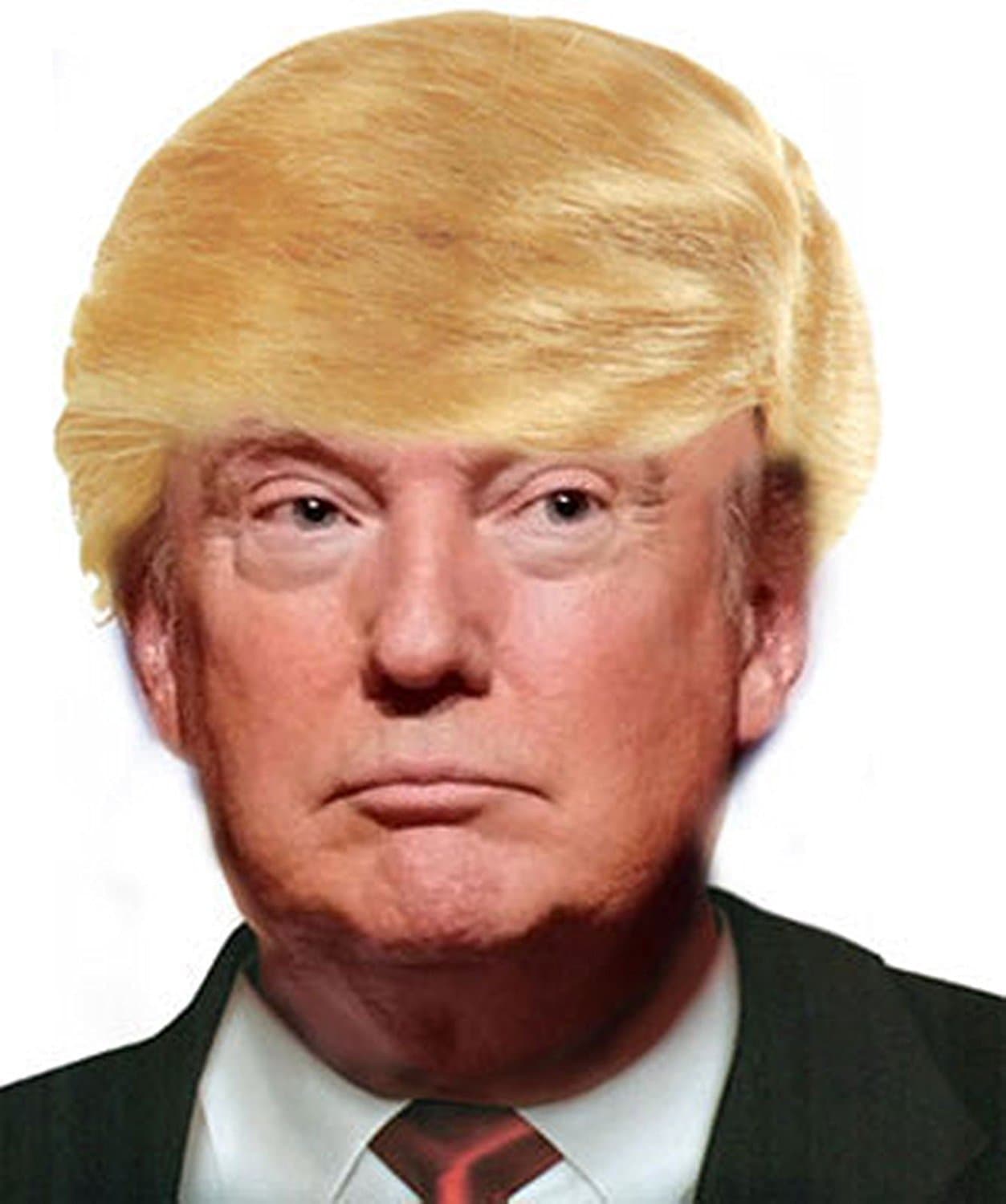 Donald Trump Billionaire Wig Adult Halloween Accessory