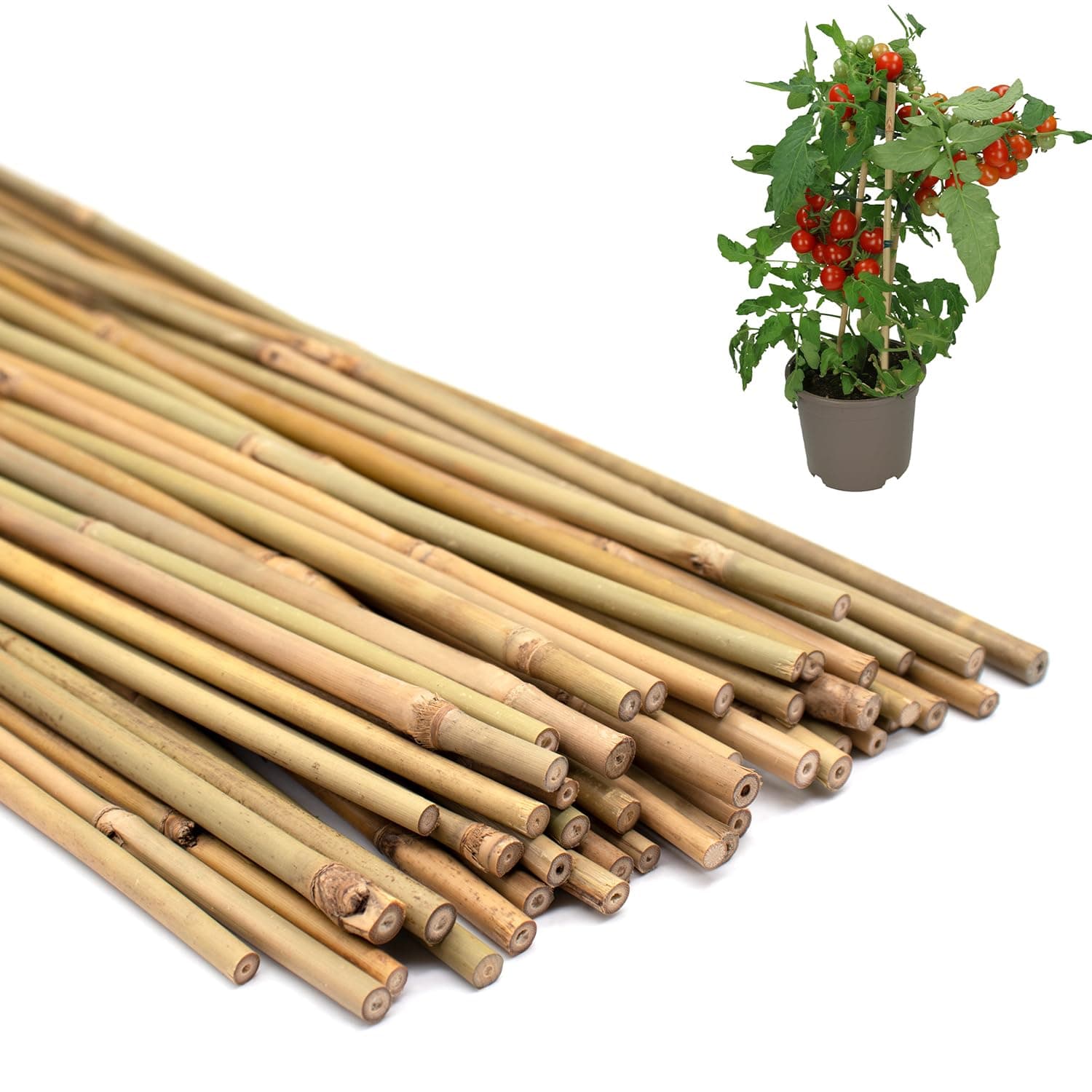 50PCS Plant Stakes,16 Inch Natural Bamboo Stakes,Garden Stakes for Indoor and Outdoor Plants,Poles Sticks for Tomatoes,Beans,Flowers,Trees Potted and Climbing Plants