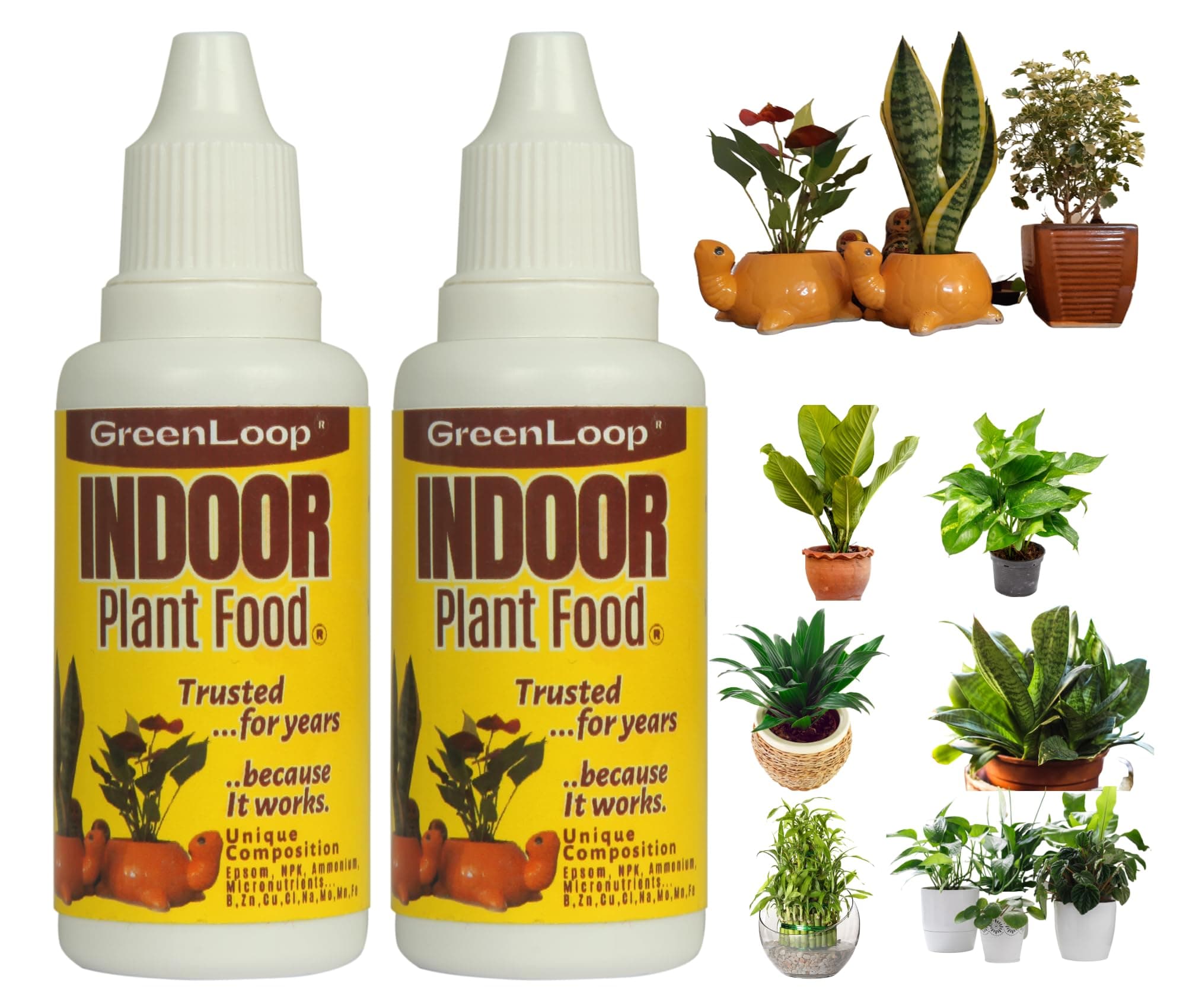 GreenLoop Indoor Plant Food - Liquid Food for Indoor Plants, Two Bottles, Each 30 ml