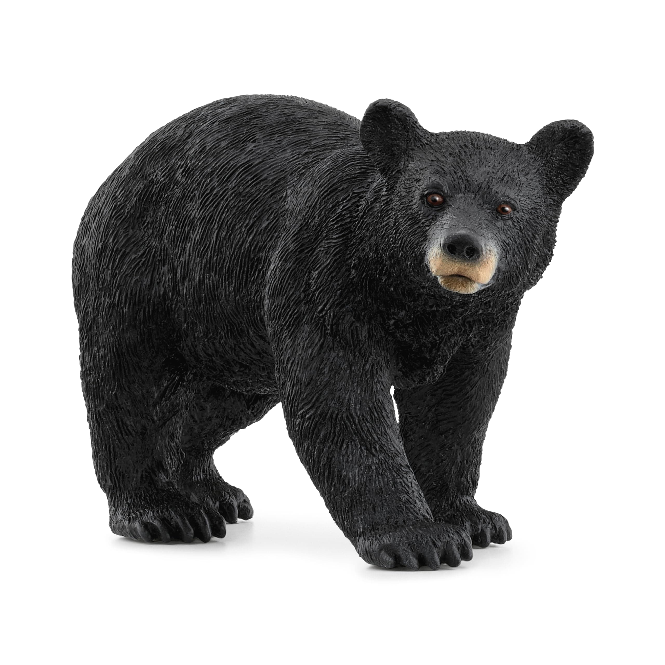 Wild Life - Wild Animal Toy American Black Bear Figurine - Kids and Toddlers Ages 3+