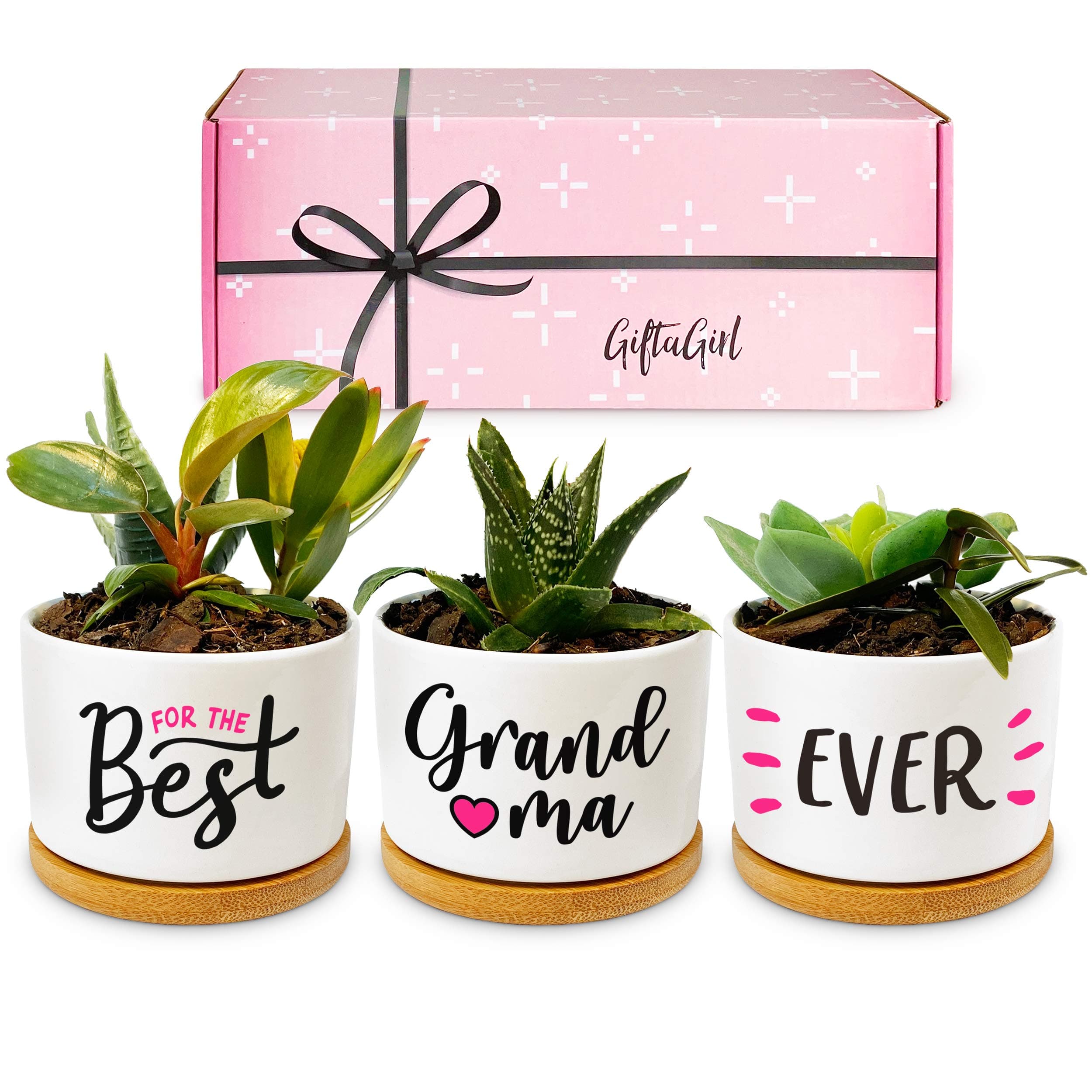 GIFTAGIRL - Set of 3 Pink Ceramic Succulent Planters for Indoor Display, Perfect Grandma Birthday or Christmas Gift