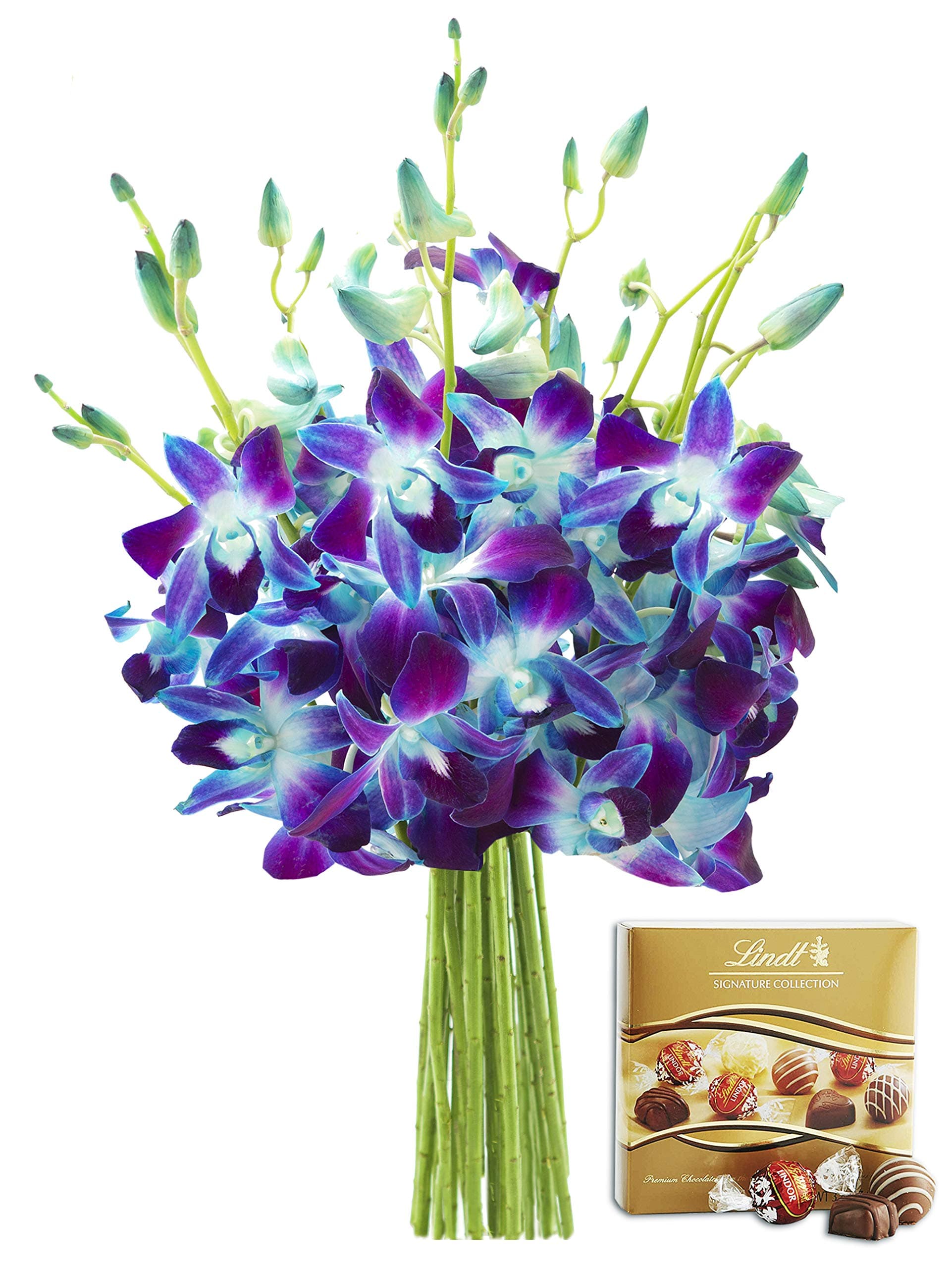 KaBloom Exotic Sapphire Orchid Bouquet of Blue Orchids from Thailand and One Box of Lindt Chocolates