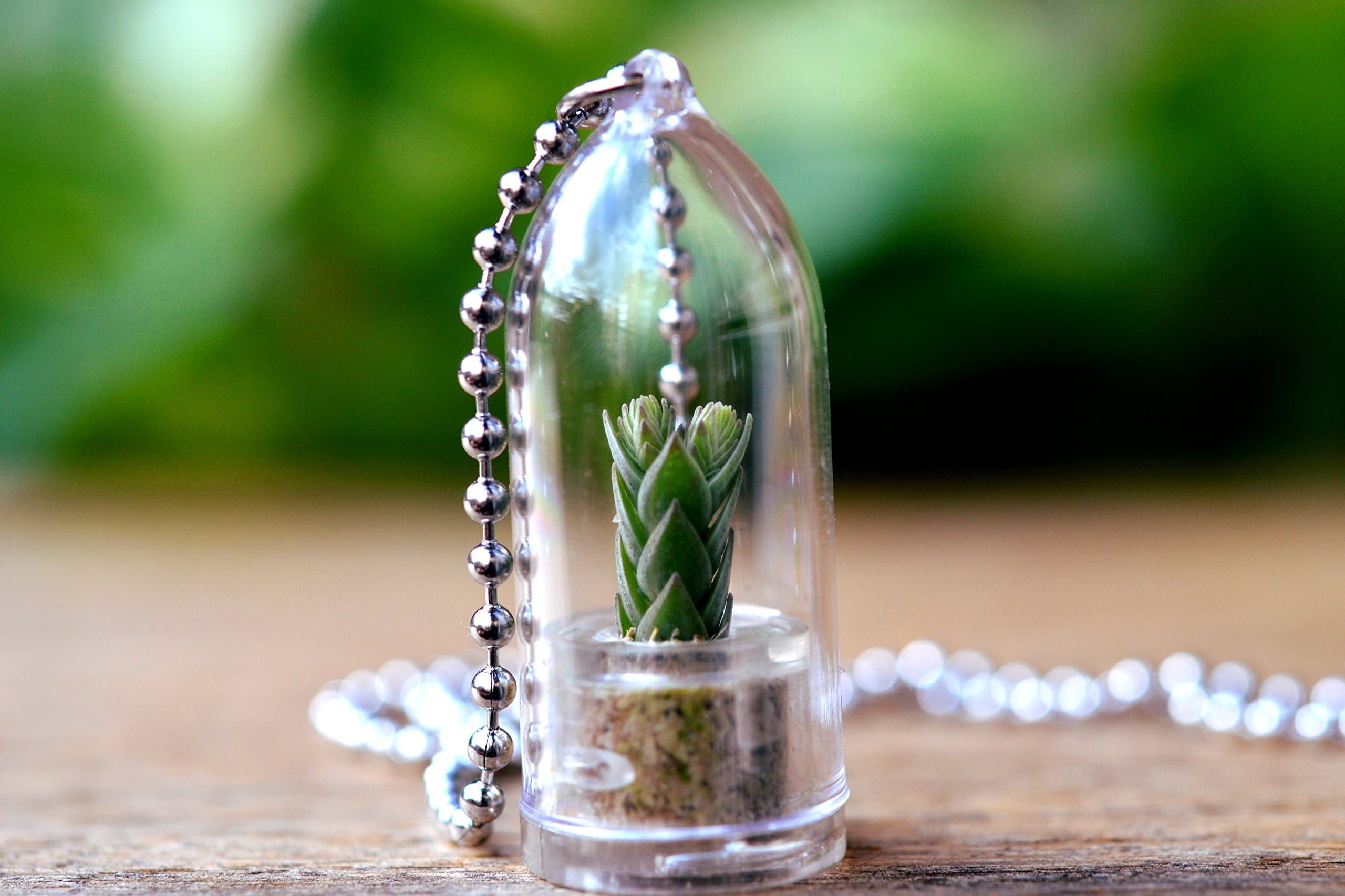 Buddha's Temple Terrarium Plant Necklace. Succulent Terrarium Gift.