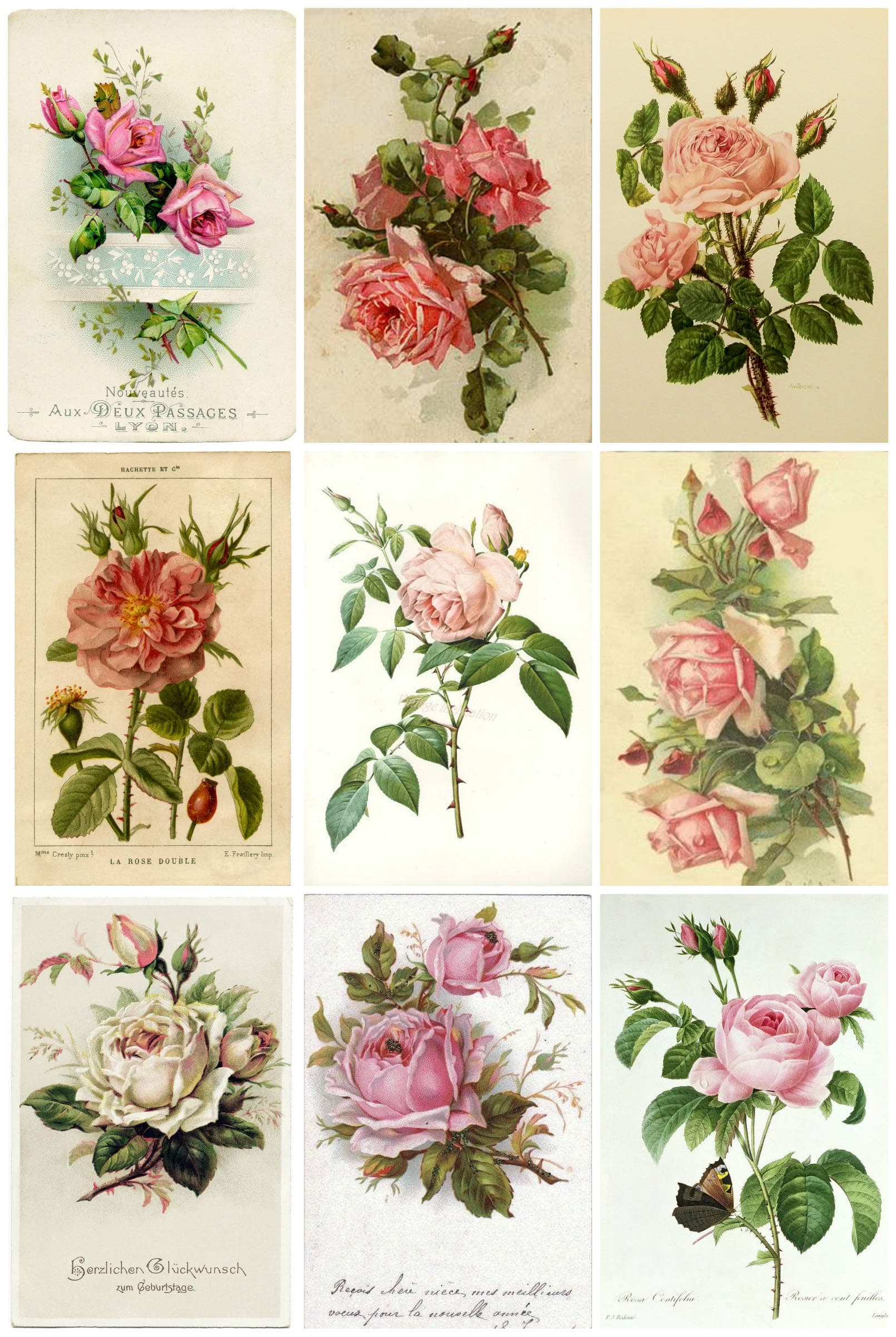 Vintage French Roses #2 Collage Sheet 8.5 x 11"